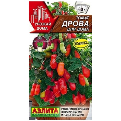 Томат Дрова Комнатный Аэлита