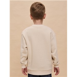 PELICAN Толстовка BFN3362