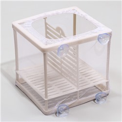 Отсадник малый, 14.5×16×15 см, с перегородкой и пластиковым дном