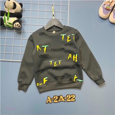 кофта с начесом 1822416-1