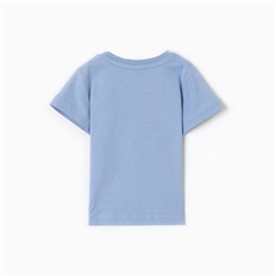 Футболка для мальчика, цвет голубой, рост 74 см