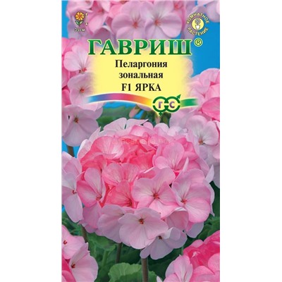 Пеларгония Ярка F1 (Гавр)