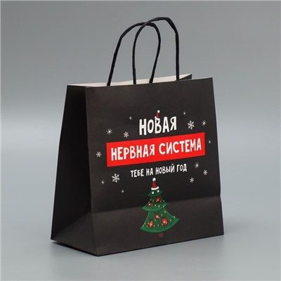 Пакет подарочный новогодний крафтовый «Нервы», 22×22×11 см