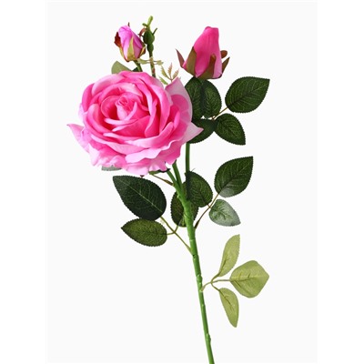 Цветы искусственные «Роза Вхите», h=66 см, розовые