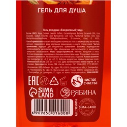 Новогодний подарочный набор косметики «Аромат Нового Года»: гель для душа и пена для ванны, 2×250 мл, Чистое счастье