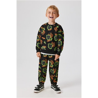 Джемпер ACOOLA, 1214285