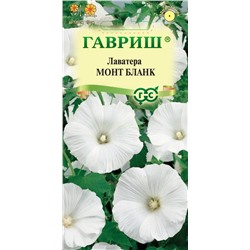 Лаватера Монт Бланк (Гавр)