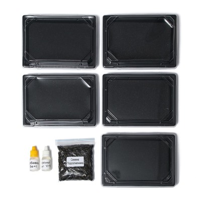 Набор для выращивания микрозелени Vegebox, 5 лотков, подсолнечник