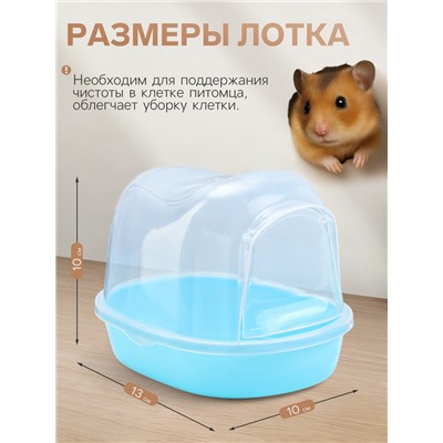 Туалет для грызунов фигурный «Пижон», 13×10×10 см, синий