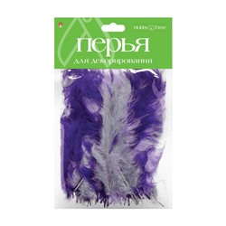 Перья для декорирования МЕГАМИКС, 6 ВИДОВ, НАБОР №3 2-405/02 Альт