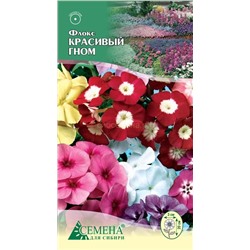 Флокс Красивый гном, 0,2г (цв.)