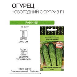 Семена Огурец "Новогодний сюрприз F1" 12 шт