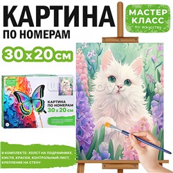 Набор для рисования "Картина по номерам 30х20 см. Белая кошечка"