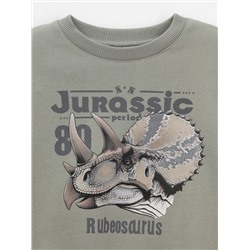 CROCKID Свитшот КР 302843