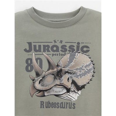 CROCKID Свитшот КР 302843