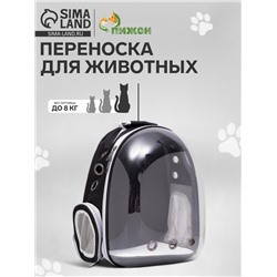 Рюкзак для переноски животных, 31×28×42 см, прозрачный, чёрный