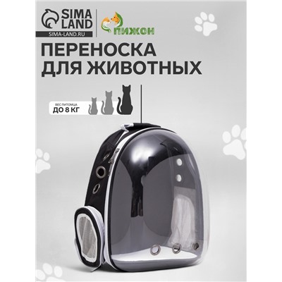 Рюкзак для переноски животных, 31×28×42 см, прозрачный, чёрный