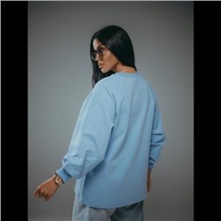 Свитшот Символ (Голубой)