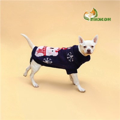 Свитер для животных, размер 16 (ДС 35-39, ОГ 38-50, ОШ 24-28 см), синий