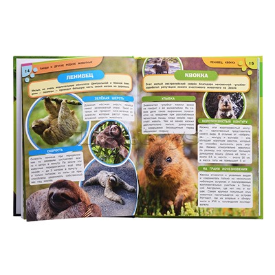 Энциклопедия с заданиями "Панды и другие редкие животные" 48 стр.