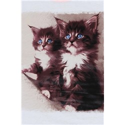 Пижама с шортами Два котёнка НАТАЛИ, 1074647