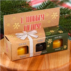 Подарочный набор новогодний «Радостных дней», 2 крем-меда и варенье с шишками по 30 г