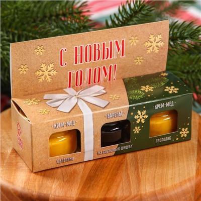 Подарочный набор новогодний «Радостных дней», 2 крем-меда и варенье с шишками по 30 г