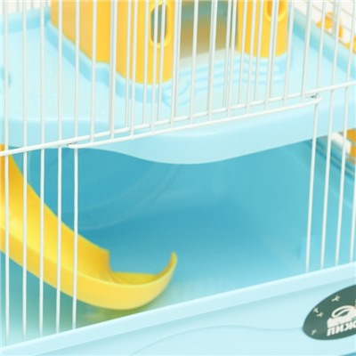 Клетка для грызунов «Пижон», 31×24×27 см, с замком, пластик, металл, голубая