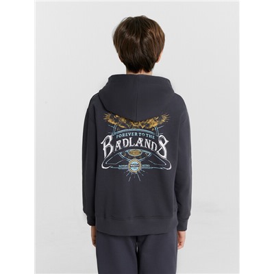 ТОЛСТОВКА ДЛЯ МАЛЬЧИКОВ 363332/1