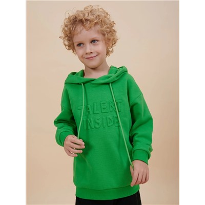 PELICAN Толстовка BFNK3353