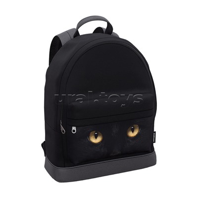 Рюкзак "StreetLine" с отделением для ноутбука 17L Black Cat