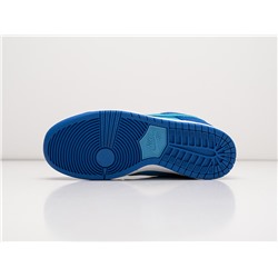 Кроссовки Nike SB Dunk Low