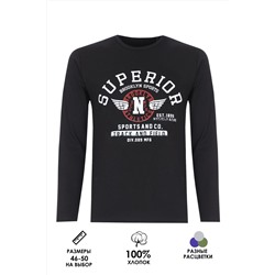Футболка с длинным рукавом ФН176 Superior