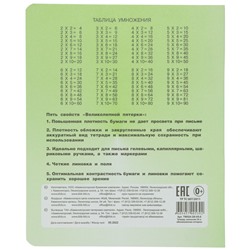 Тетрадь А5 24 л клетка КФОБ "Великолепная 5"