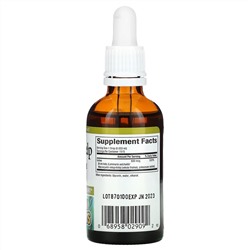 Natural Factors, жидкие водоросли, 800 мкг, 50 мл (1,6 жидк. унции)