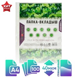 Файл - вкладыш Calligrata, А4, 40 мкм, глянцевый, вертикальный, 100 штук