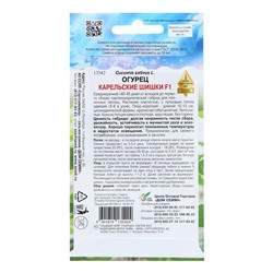 Семена Огурец «Карельские шишки», F1, 6 шт., «Дом семян»