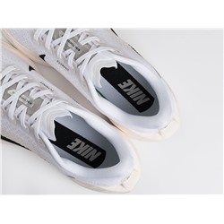 Кроссовки Nike Pegasus Plus