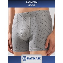 1174-13 Боксеры для мужчин (BAYKAR)