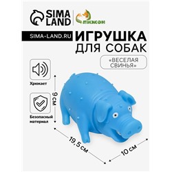 Игрушка пищащая «Весёлая свинья» для собак, хрюкающая, 19.5 см, голубая
