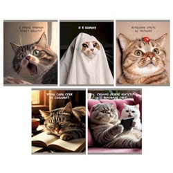 Тетрадь  48л клетка "Ох уж эти котики" ТКЛ489665 Listoff