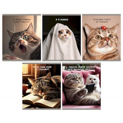 Тетрадь  48л клетка "Ох уж эти котики" ТКЛ489665 Listoff