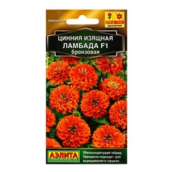 Семена цветов Цинния Ламбада F1 бронзовая  Золотая серия, Ц/П,12 шт.