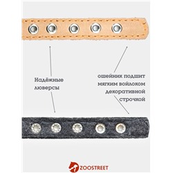 Ошейник, 35×1.5 см, подклад из ватина, кожа, бежевый