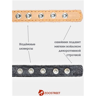 Ошейник, 35×1.5 см, подклад из ватина, кожа, бежевый