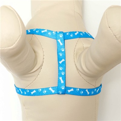 Шлейка с поводком «Классика», ОГ 21-35 см, поводок 120×1 см, капрон, голубая