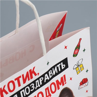 Пакет подарочный новогодний крафтовый «Котик», 22×22×11 см
