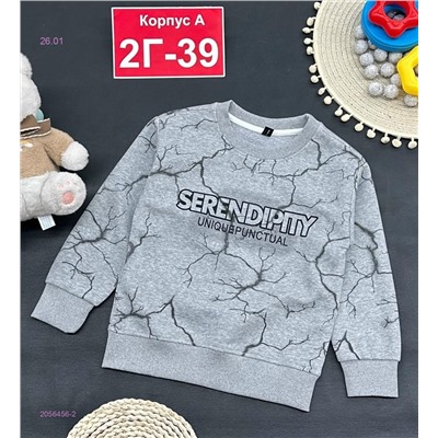 кофта 2056456-2