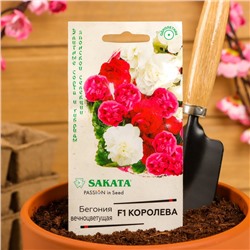 Семена цветов Бегония "Королева", ц/п,  F1, вечноцветущая, махровая, смесь, гранулы, 4 шт