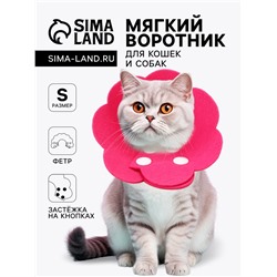 Ветеринарный воротник из фетра "Ромашка", размер S, фуксия